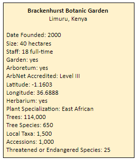 Forest restoration – saving East Africa's rare trees