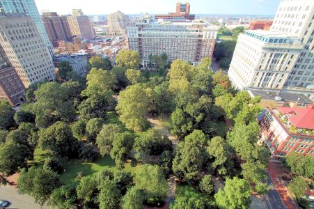 aerial view