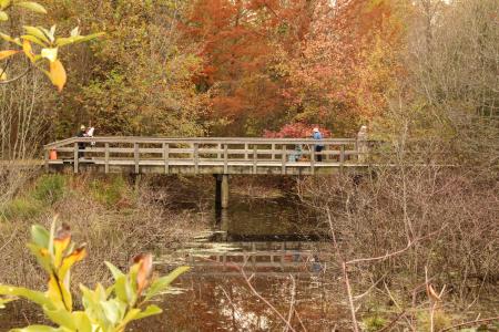 Adkins Arboretum - photo by  Kellen McCluskey.