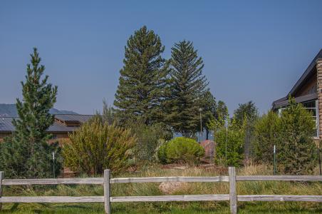 Native Plant Garden