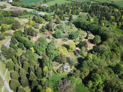 The ericaceous garden from the air