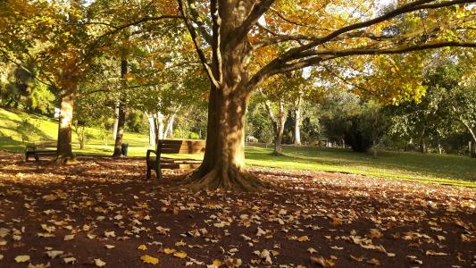 Jardin Botanico Francisco