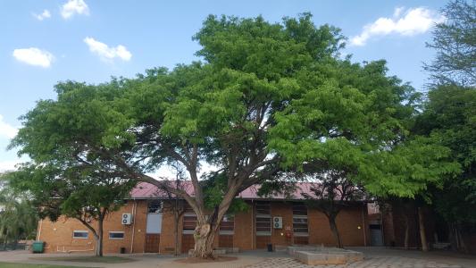 Rustenburg High school grounds