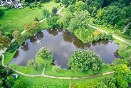 Aerial shot of Willow Park Preserve