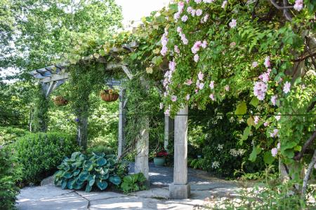 Arbor garden