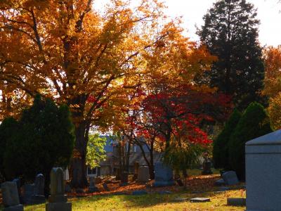 Mt. Washington Cemetery grounds fall colors Mt. Washington Cemetery grounds