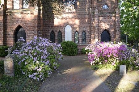 Calvary Episcopal Churchyard Azaleas