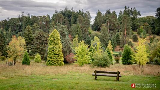 BP-Photo-Walk-Dallimore Valley vistaAut2020-CREDIT David Jenner.