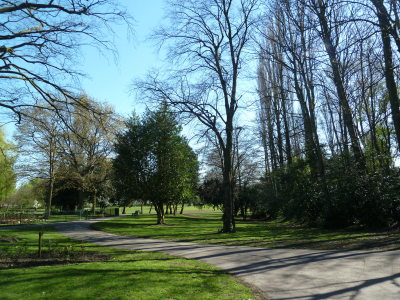 Brunswick Park trees