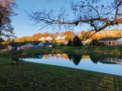 Glen lake