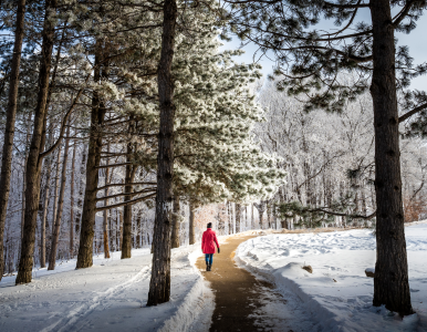 Arboretum snow