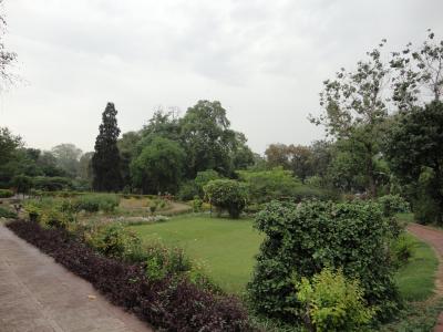 View of the garden