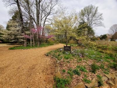 Huntsville Botanical Garden Nature Trail