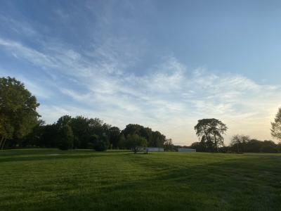 South HIlls Park trees