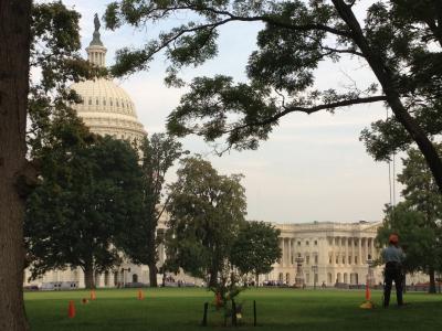 United States Capitol Grounds