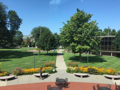 Macalester College trees