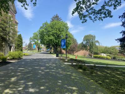 campus trees