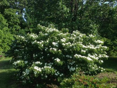 Boone County Arboretum