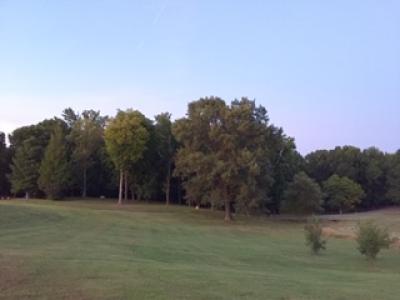 trees