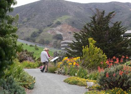 arboretum arboretum