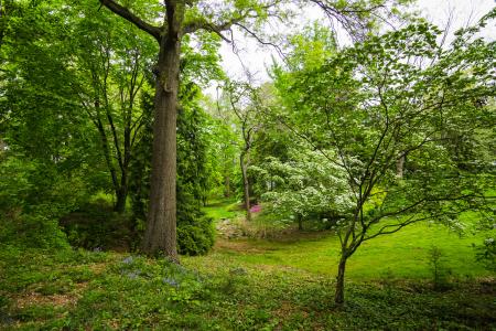 Historic London Town Gardens