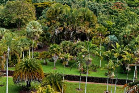 National Tropical Botanical Garden