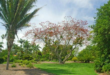 Montgomery Botanical Center