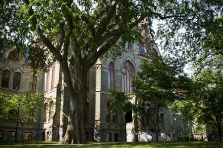 University of Pennsylvania - Treaty Elm