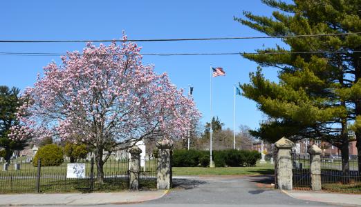 Riverview Cemetery Arboretum