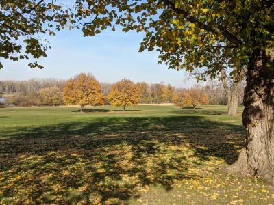 South Park Arboretum