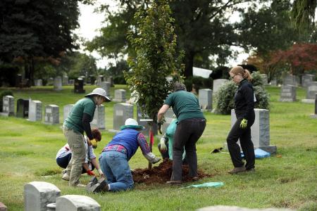 Arbnet Columbia Gardens Cemetery