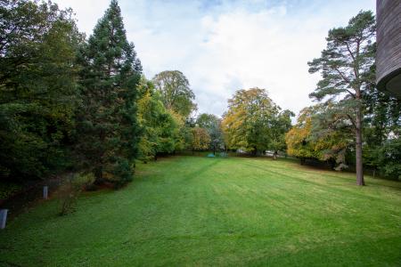 UCC Arboretum