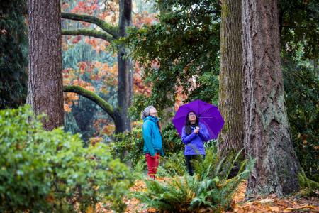 UW Botanic Gardens autumn - Dennis Wise