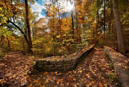 Upland Trail Bridge