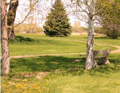 Cedar Valley Arboretum