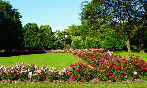 Park of Roses