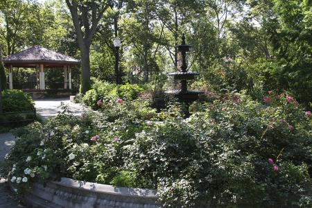 Park fountain