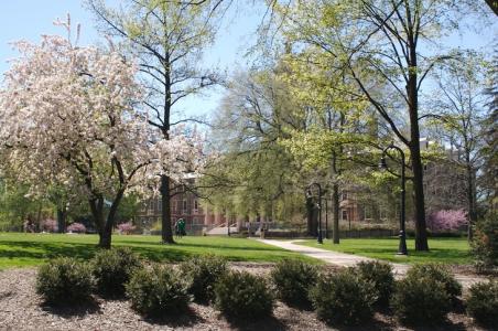 Penn State spring trees