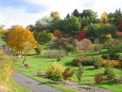 University of Idaho Arboretum