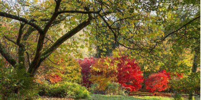 Winkworth Arboretum