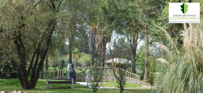 Puebla Puebla