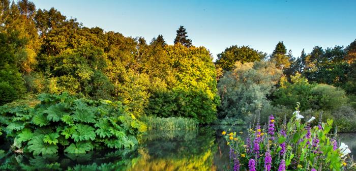 JFK Arboretum lake