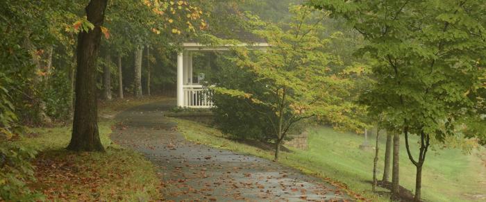 Woodland Trail