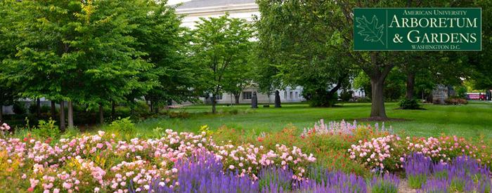 American University Arboretum
