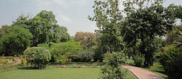 Garden