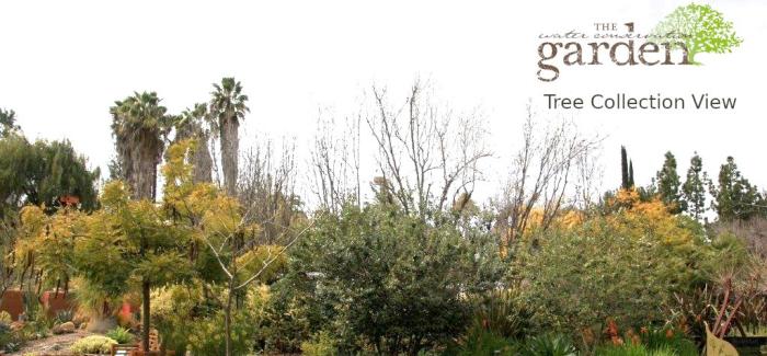 Arboretum Arboretum