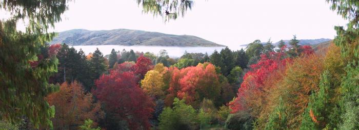 Autumn lookout