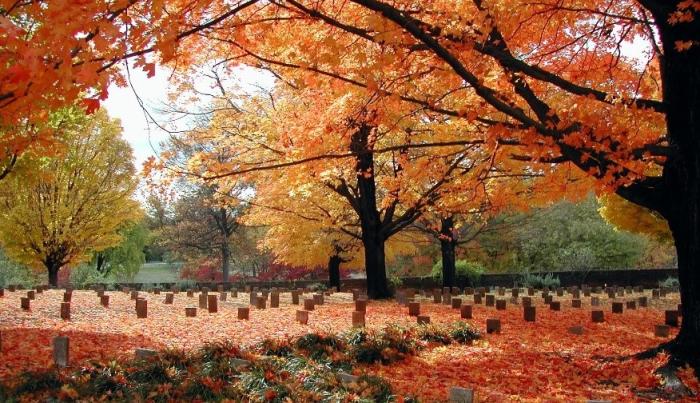 Cemetery Fall