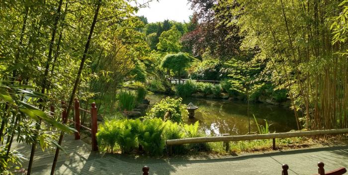 Chinese Garden