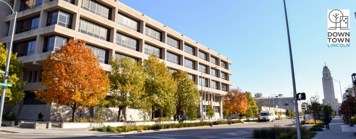 Downtown Lincoln fall trees